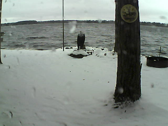 Whiteface Cam Image - Sun, 11/15/2020 3:35pm 