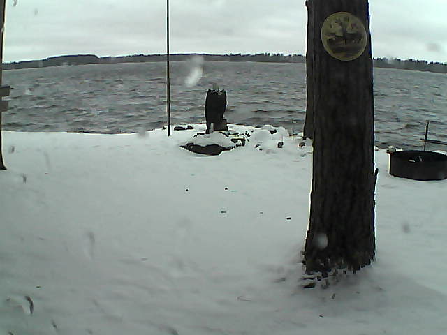 Whiteface Cam Image - Sun, 11/15/2020 3:45pm 