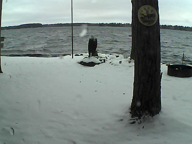 Whiteface Cam Image - Sun, 11/15/2020 4:05pm 