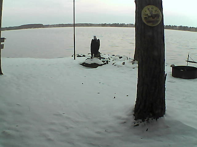 Whiteface Cam Image - Mon, 11/16/2020 7:07am 