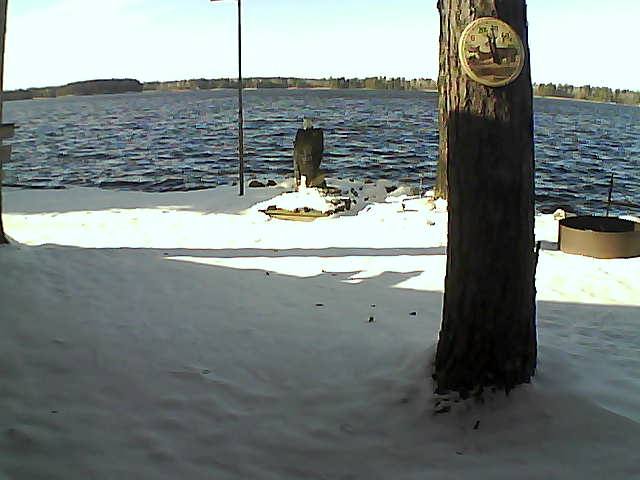 Whiteface Cam Image - Mon, 11/16/2020 1:17pm 