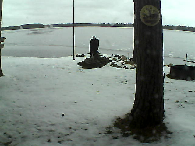 Whiteface Cam Image - Fri, 11/20/2020 7:21am 
