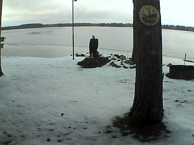 Whiteface Cam Image - Fri, 11/20/2020 9:02am 