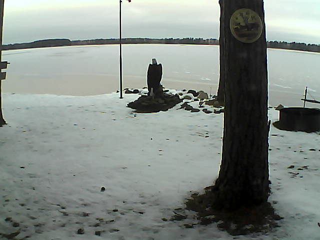 Whiteface Cam Image - Sat, 11/21/2020 8:14am 