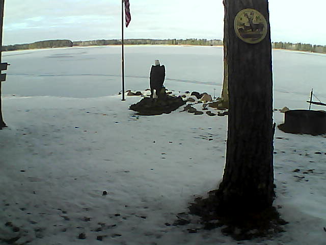 Whiteface Cam Image - Sat, 11/21/2020 10:14am 