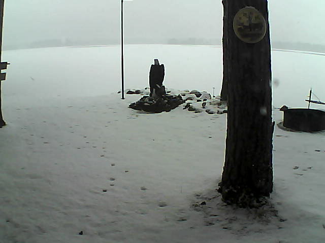 Whiteface Cam Image - Sun, 11/22/2020 2:05pm 