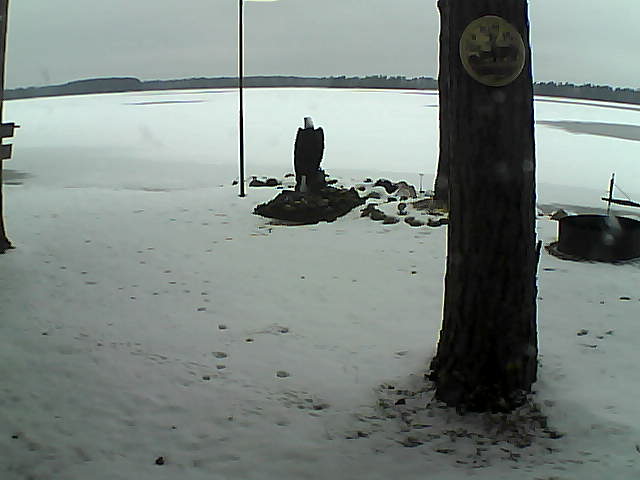 Whiteface Cam Image - Thu, 11/26/2020 12:43pm 
