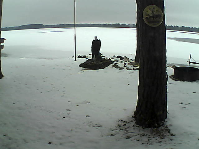 Whiteface Cam Image - Thu, 11/26/2020 12:53pm 