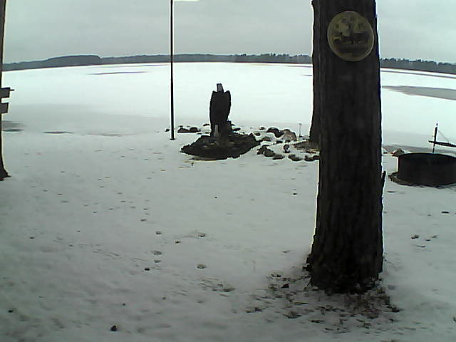 Whiteface Cam Image - Thu, 11/26/2020 1:13pm 