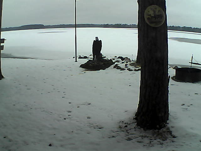 Whiteface Cam Image - Thu, 11/26/2020 2:43pm 