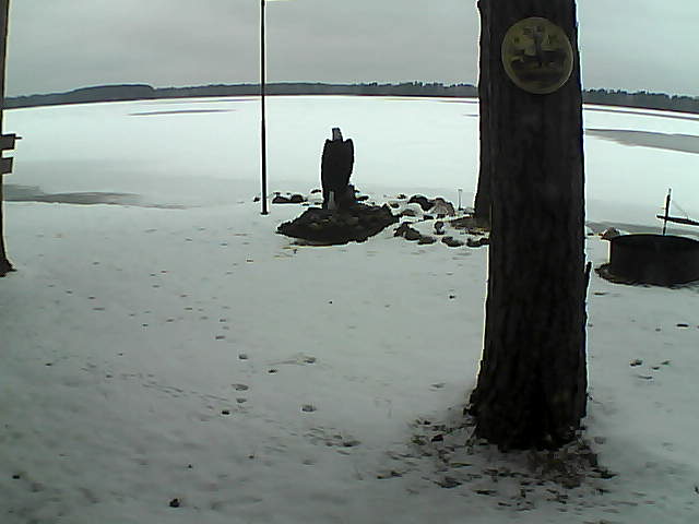 Whiteface Cam Image - Thu, 11/26/2020 4:03pm 