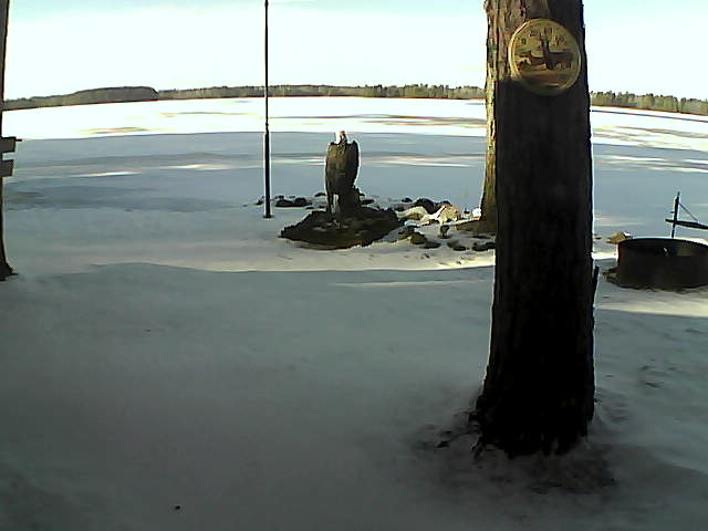 Whiteface Cam Image - Fri, 11/27/2020 1:12pm 