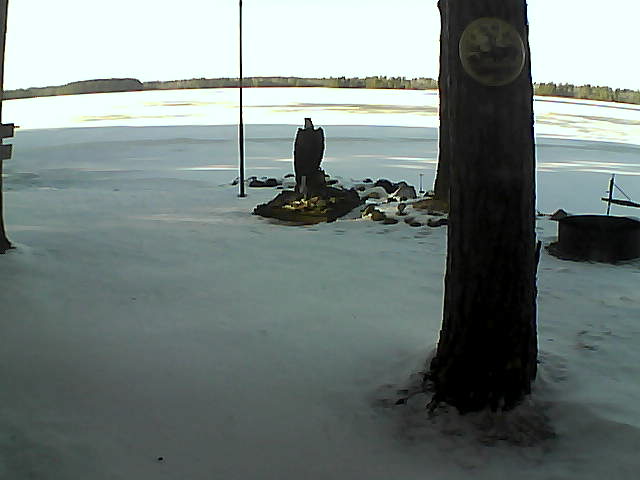 Whiteface Cam Image - Fri, 11/27/2020 2:03pm 