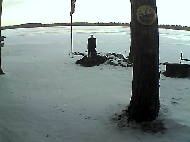 Whiteface Cam Image - Sat, 11/28/2020 8:14am 