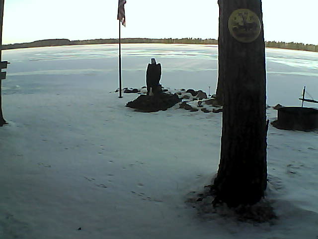 Whiteface Cam Image - Sat, 11/28/2020 8:44am 