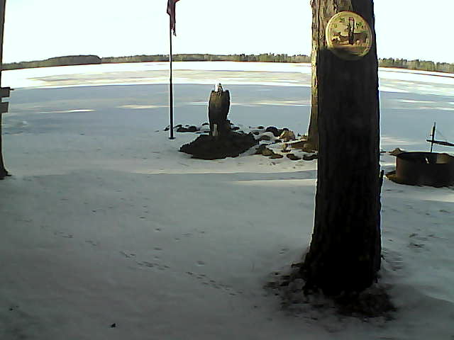 Whiteface Cam Image - Sat, 11/28/2020 1:14pm 