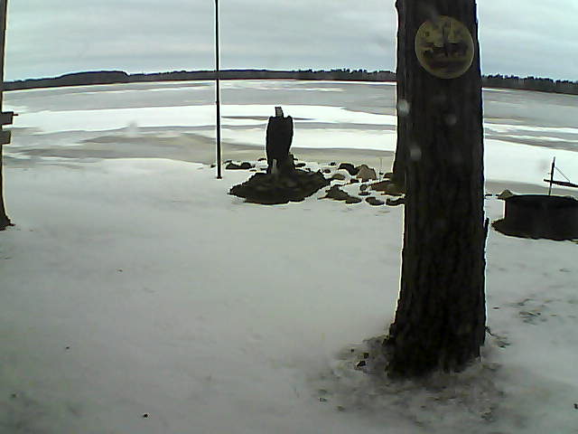 Whiteface Cam Image - Sun, 11/29/2020 8:25am 