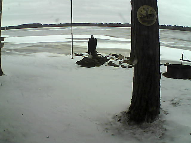 Whiteface Cam Image - Sun, 11/29/2020 8:55am 