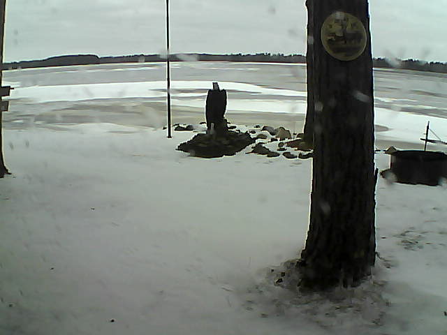 Whiteface Cam Image - Sun, 11/29/2020 9:05am 