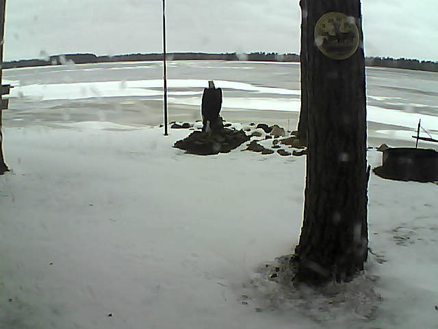 Whiteface Cam Image - Sun, 11/29/2020 9:15am 