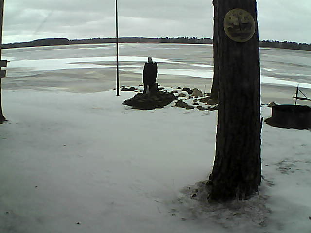 Whiteface Cam Image - Sun, 11/29/2020 10:15am 