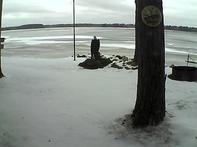 Whiteface Cam Image - Sun, 11/29/2020 11:05am 