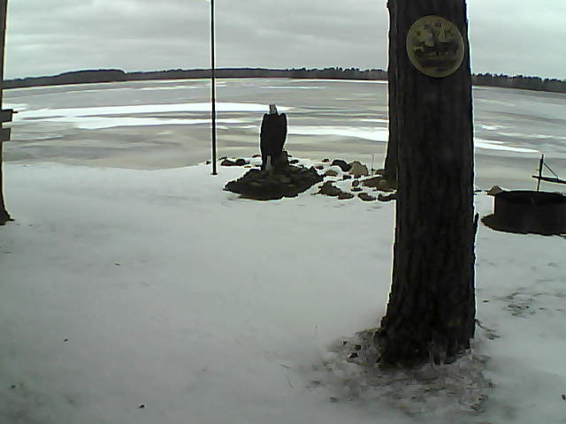 Whiteface Cam Image - Sun, 11/29/2020 11:15am 