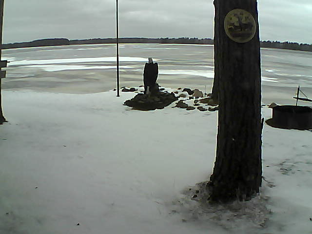 Whiteface Cam Image - Sun, 11/29/2020 11:35am 
