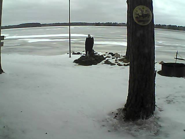 Whiteface Cam Image - Sun, 11/29/2020 11:55am 