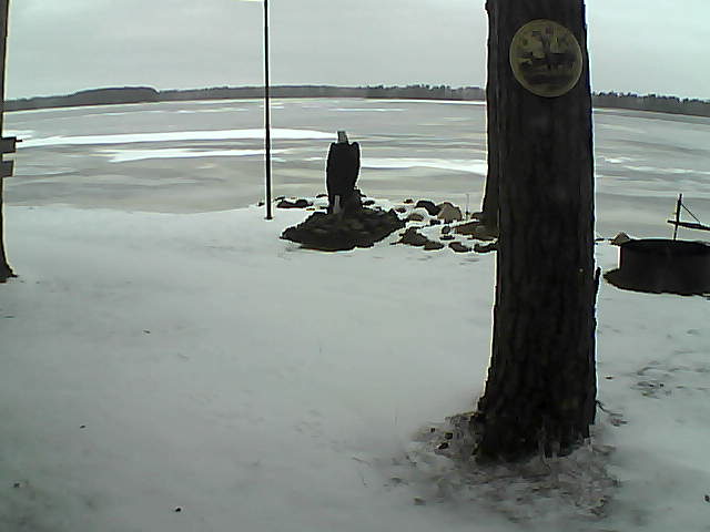 Whiteface Cam Image - Sun, 11/29/2020 12:15pm 