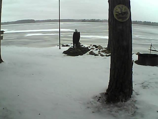 Whiteface Cam Image - Sun, 11/29/2020 12:35pm 