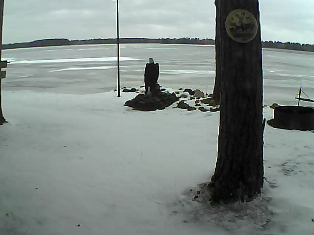 Whiteface Cam Image - Sun, 11/29/2020 2:25pm 