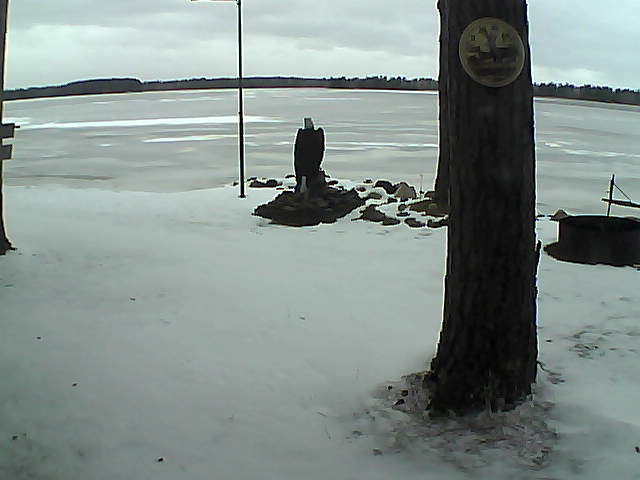 Whiteface Cam Image - Sun, 11/29/2020 3:45pm 