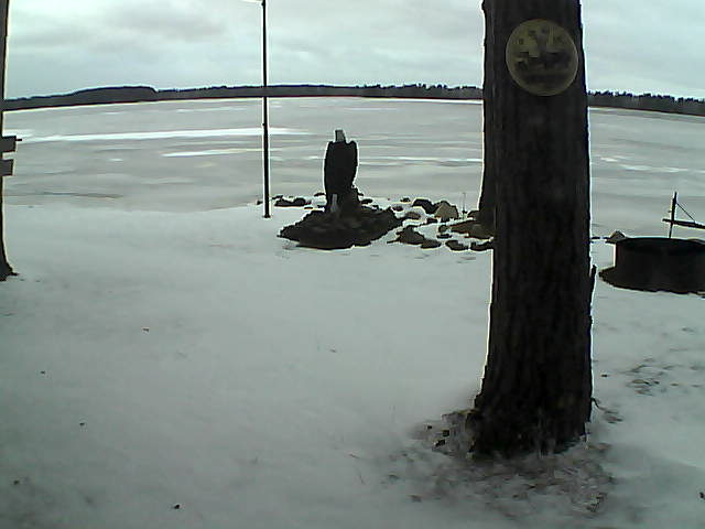 Whiteface Cam Image - Sun, 11/29/2020 4:05pm 