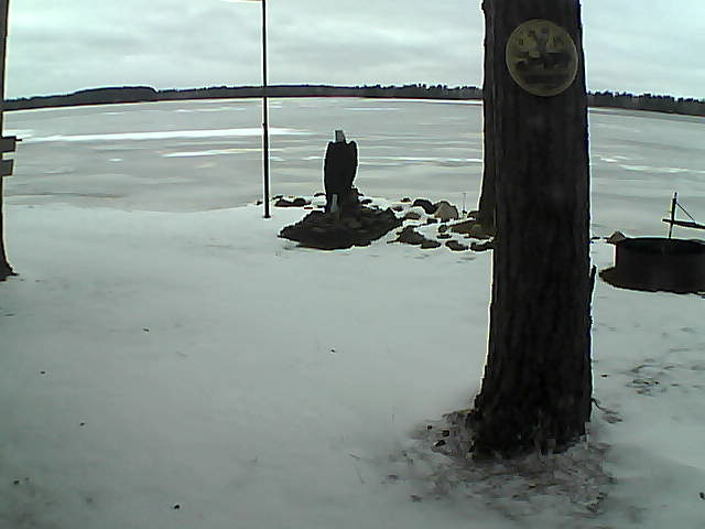 Whiteface Cam Image - Sun, 11/29/2020 4:15pm 