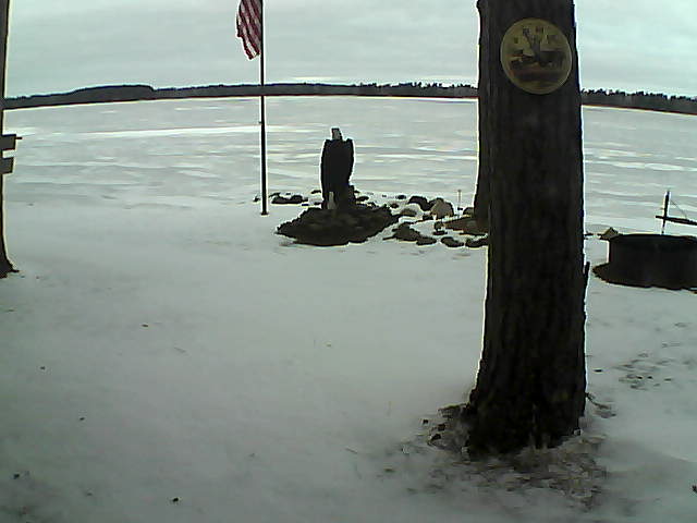 Whiteface Cam Image - Mon, 11/30/2020 7:46am 