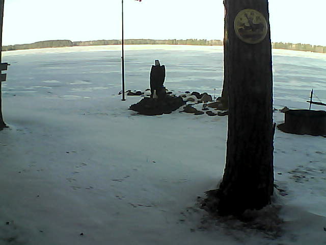 Whiteface Cam Image - Wed, 12/02/2020 9:08am 