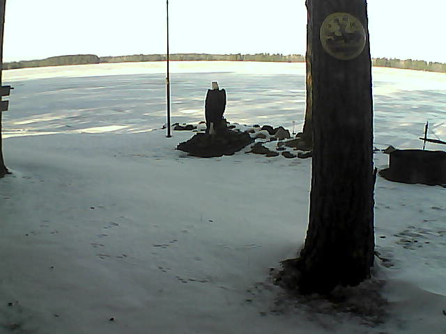 Whiteface Cam Image - Wed, 12/02/2020 10:18am 