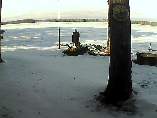 Whiteface Cam Image - Wed, 12/02/2020 11:18am 