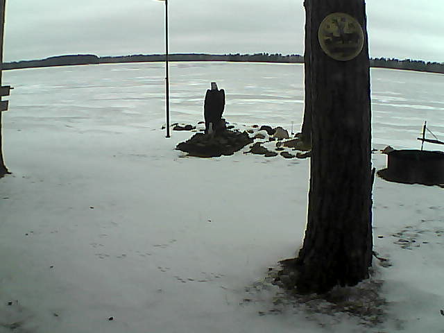 Whiteface Cam Image - Wed, 12/02/2020 11:58am 