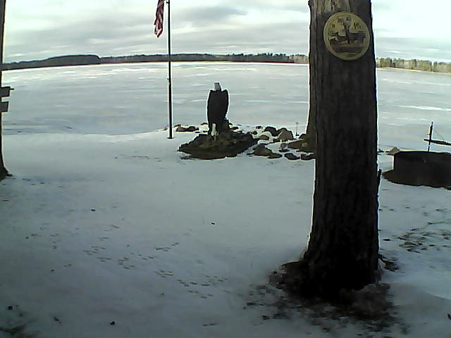 Whiteface Cam Image - Fri, 12/04/2020 11:30am 