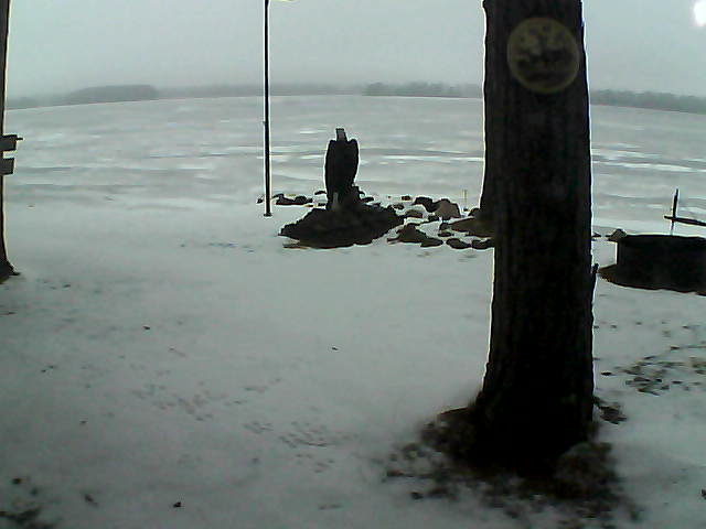 Whiteface Cam Image - Tue, 12/08/2020 7:24am 