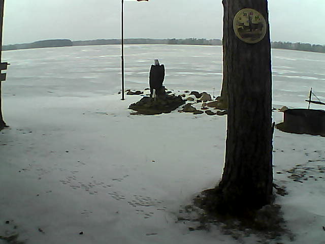 Whiteface Cam Image - Tue, 12/08/2020 12:15pm 