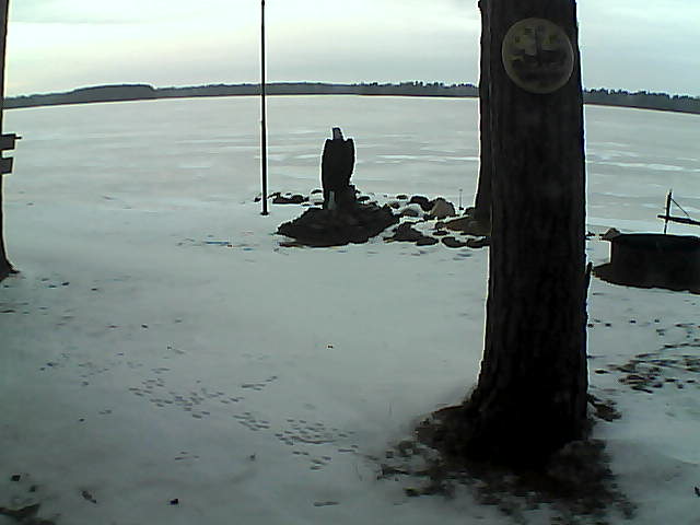 Whiteface Cam Image - Tue, 12/08/2020 3:55pm 