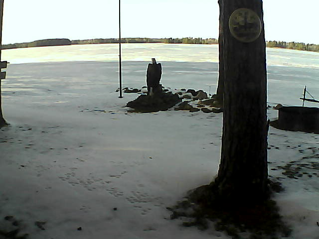 Whiteface Cam Image - Wed, 12/09/2020 2:06pm 