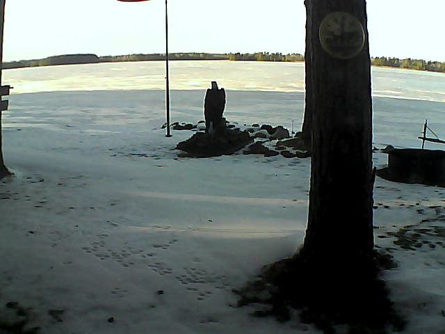 Whiteface Cam Image - Wed, 12/09/2020 2:46pm 