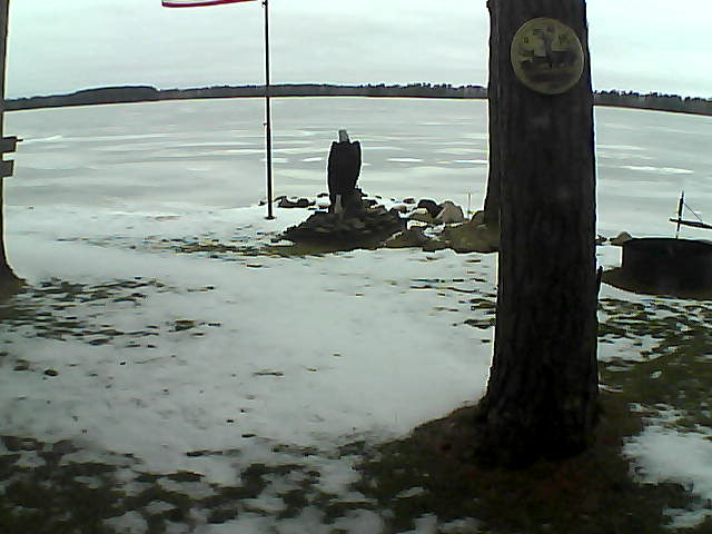 Whiteface Cam Image - Fri, 12/11/2020 8:17am 