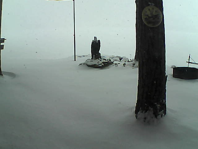 Whiteface Cam Image - Wed, 12/23/2020 12:24pm 