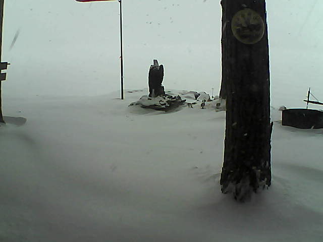 Whiteface Cam Image - Wed, 12/23/2020 1:14pm 