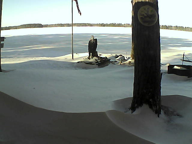 Whiteface Cam Image - Fri, 12/25/2020 11:45am 